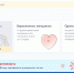 Амурчане подают заявления на новые пособия - Администрация г. Зея