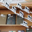 Книжная выставка День Белых журавлей - Городская библиотека