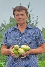 Летние краски